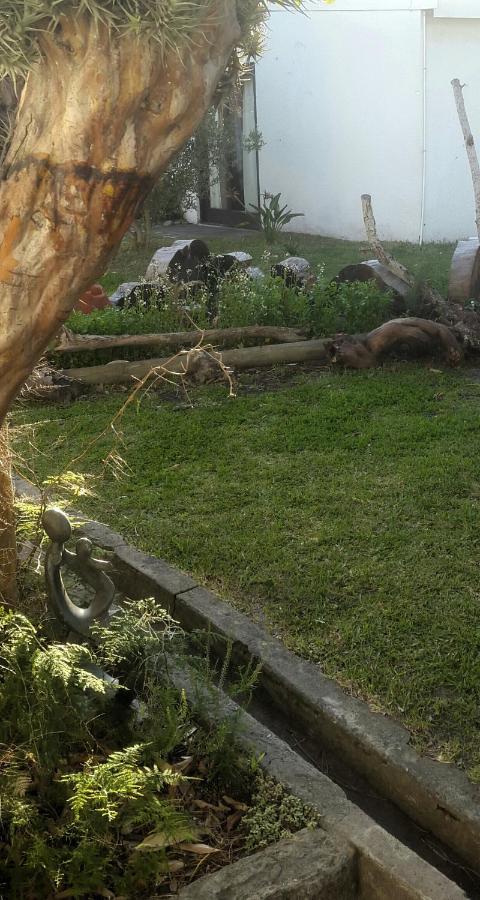 Hermanus Flower House Exterior foto